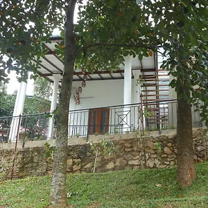 Lavender Hills Kandy